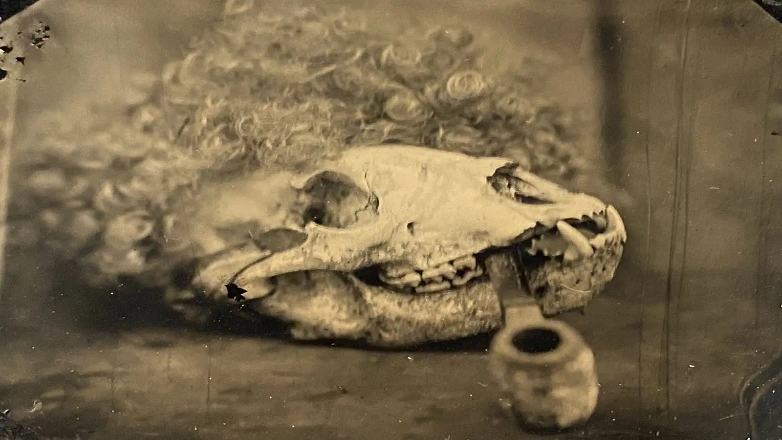 Experimental Photography