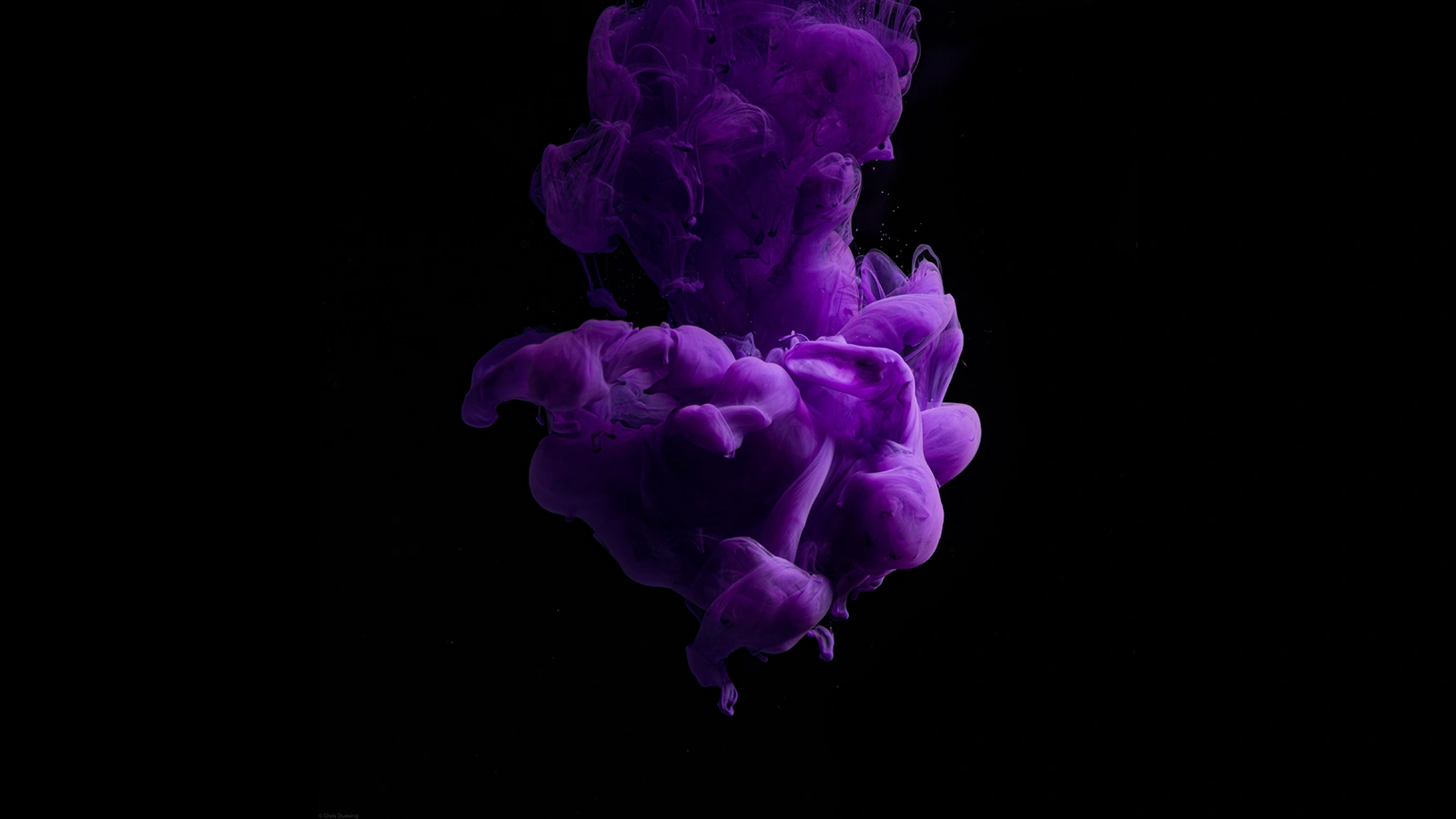 Photographing Ink in Water